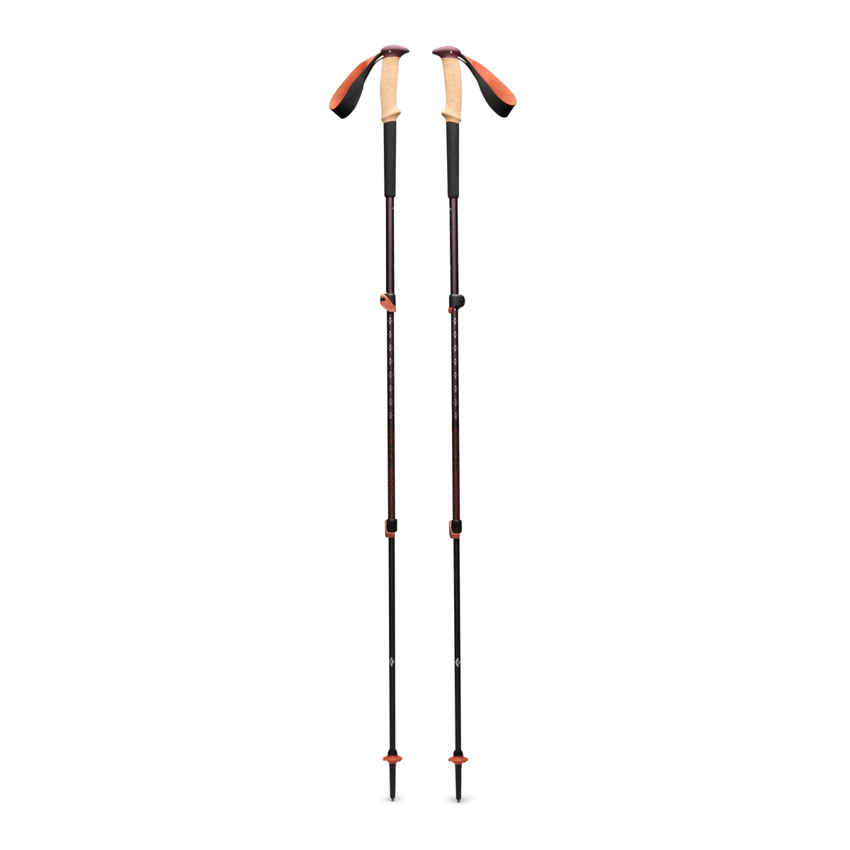 Trail Cork Trekking Poles | Black Diamond Value